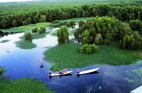 Le parc national de Tram Chim